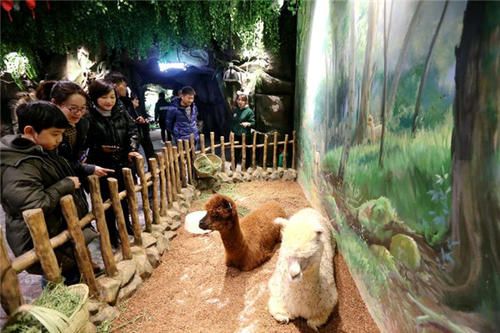 鄢陵萌宠乐园联系电话查询