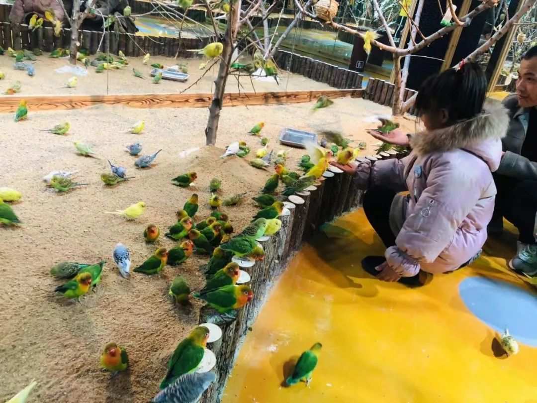 最新风控分期乐提现 揭秘最新风控分期乐提现攻略，轻松提现不再难！