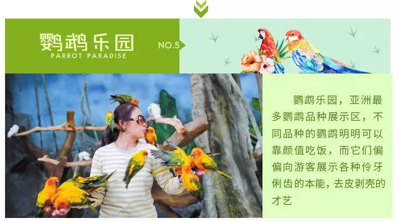 萌宠乐园门票限时秒杀新密活动攻略