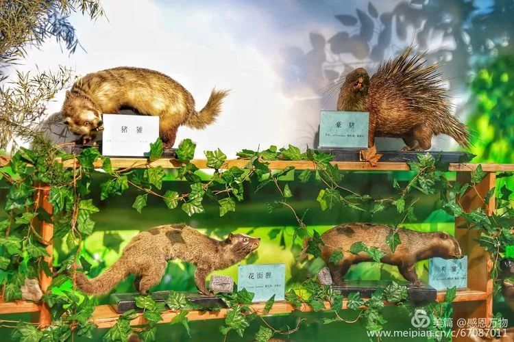 京东白条大额兑现全攻略，手把手教你快速到账