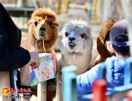 邹平抖音月付套出来怎么样 揭秘邹平抖音月付套，性价比如何？真实案例告诉你！