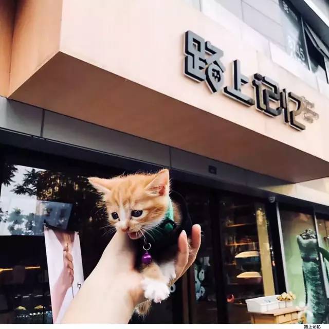 抖音月付用啥套出来比较好呢 抖音月付套利攻略，轻松解锁月付福利，这些方法最实用！