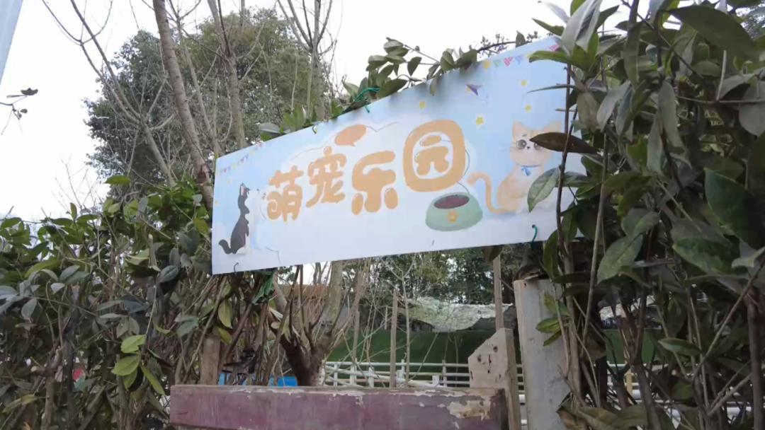 最新风控白条提现 揭秘最新风控白条提现攻略，安全快捷，轻松到账！