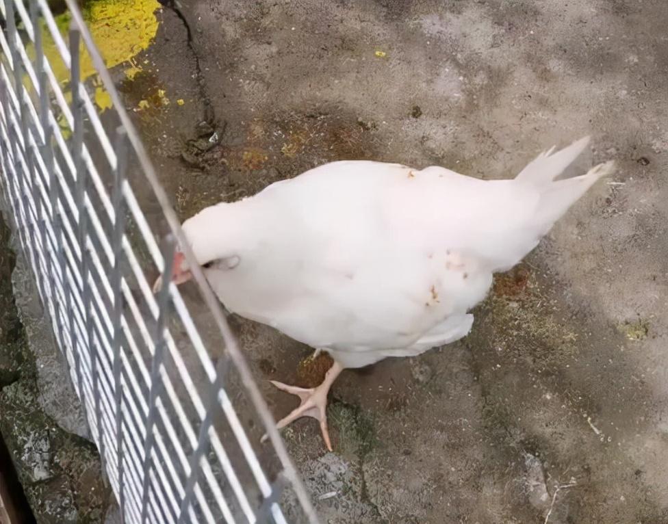 网上查住宿记录查询 网上查住宿记录，轻松掌握出行安全！