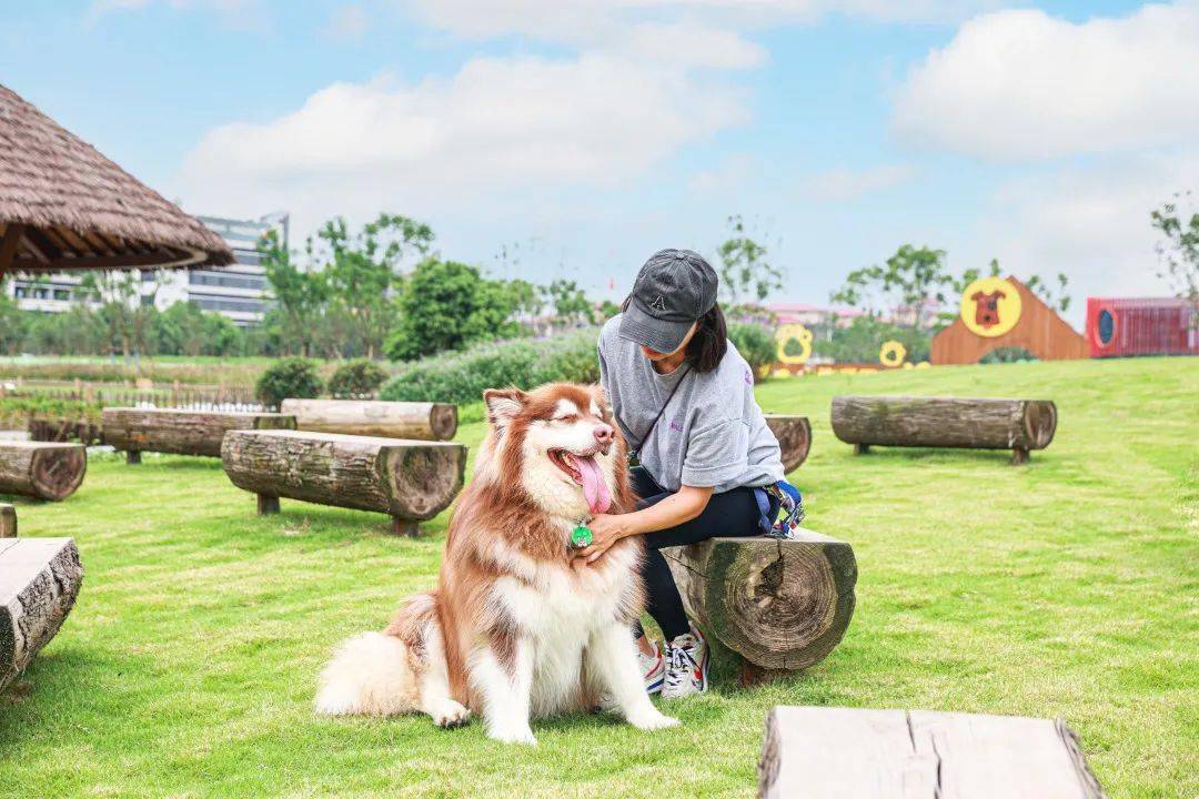 京东白条收款提现怎么操作 京东白条收款提现全攻略，轻松操作，资金到账快人一步！
