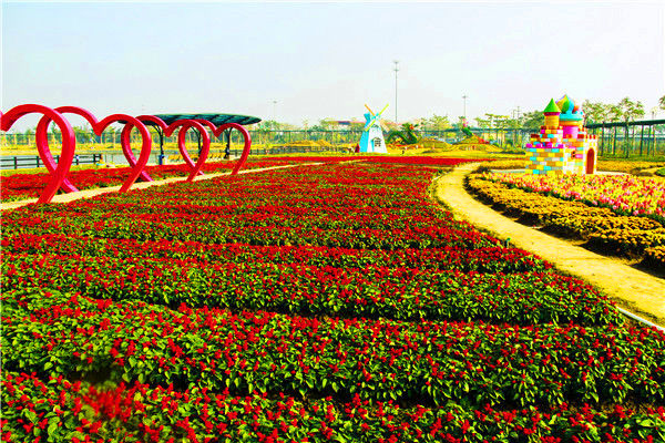 花呗额度提现，花呗额度70000算高吗？