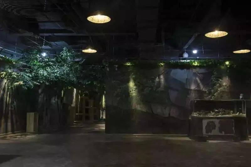 微信聊天记录被删了怎么办？5种方法+案例解析教你轻松恢复