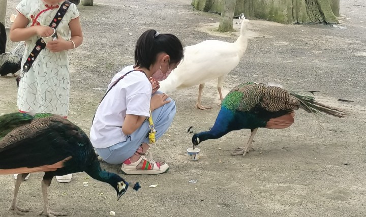 微信分付提现封号 揭秘微信分付提现封号之谜，原因、案例及预防措施