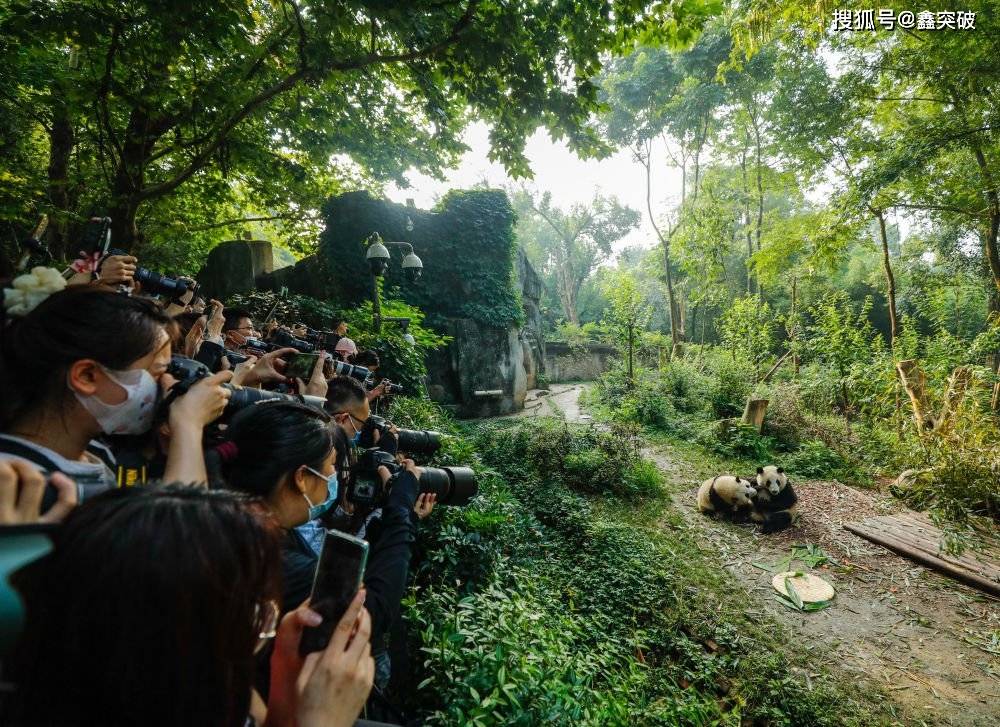 京东白条是否可提现到银行卡 京东白条提现攻略，揭秘如何将白条额度轻松转到银行卡
