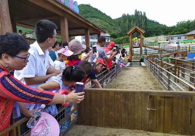 抖音月付怎么不让提现 揭秘抖音月付不提现之谜，教你轻松应对！
