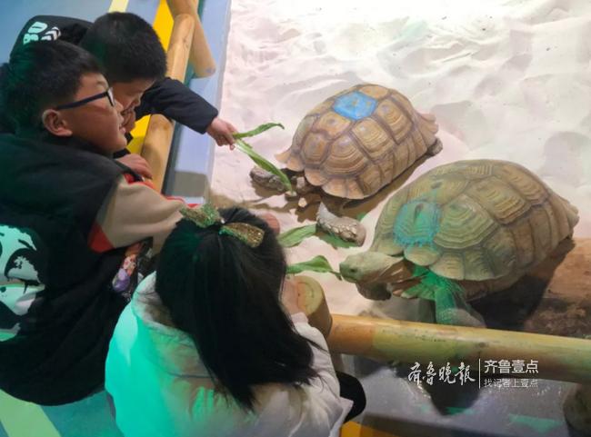 微信分付提现给手续费吗 微信分付提现手续费揭秘，哪些情况免费，哪些情况要收费？