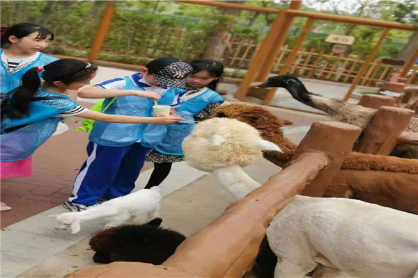 聊天记录被删了还能找回来吗？手把手教你恢复方法（附真实案例）