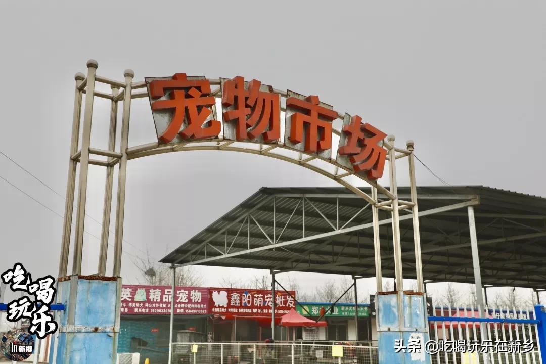 微信分付提现免额度能用吗 微信分付提现免额度，揭秘真实情况与使用技巧