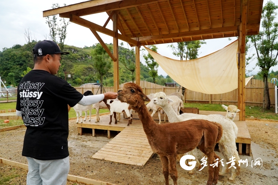 北京小小萌宠乐园地址及案例分享
