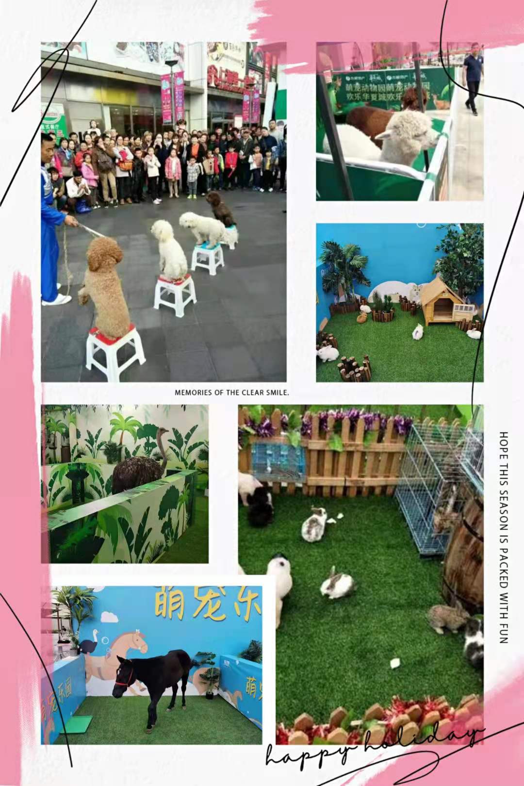京都萌宠乐园门票预定电话及案例说明