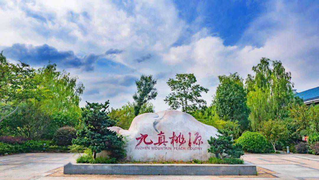 自己怎么通过抖音月付套出来 揭秘抖音月付套现攻略，轻松变现，你也能做到！
