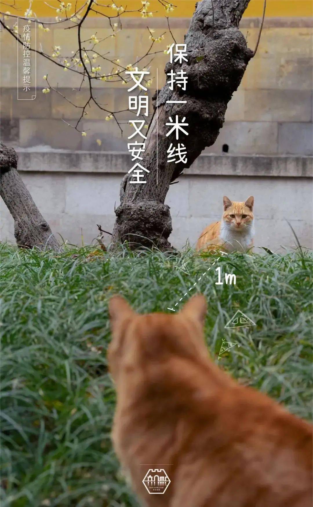 京东白条收到的退款怎么提现 京东白条退款提现攻略，轻松操作，快速到账！