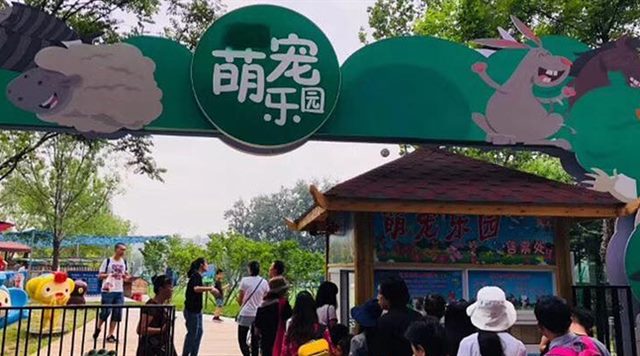 京东白条收拾怎么提现 京东白条提现攻略，轻松操作，快速到账！