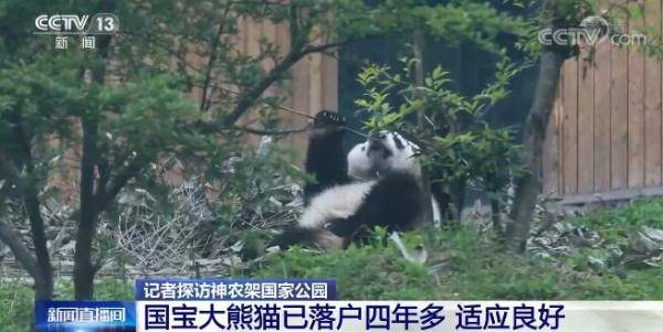 探索乌海市萌宠乐园的兔子世界