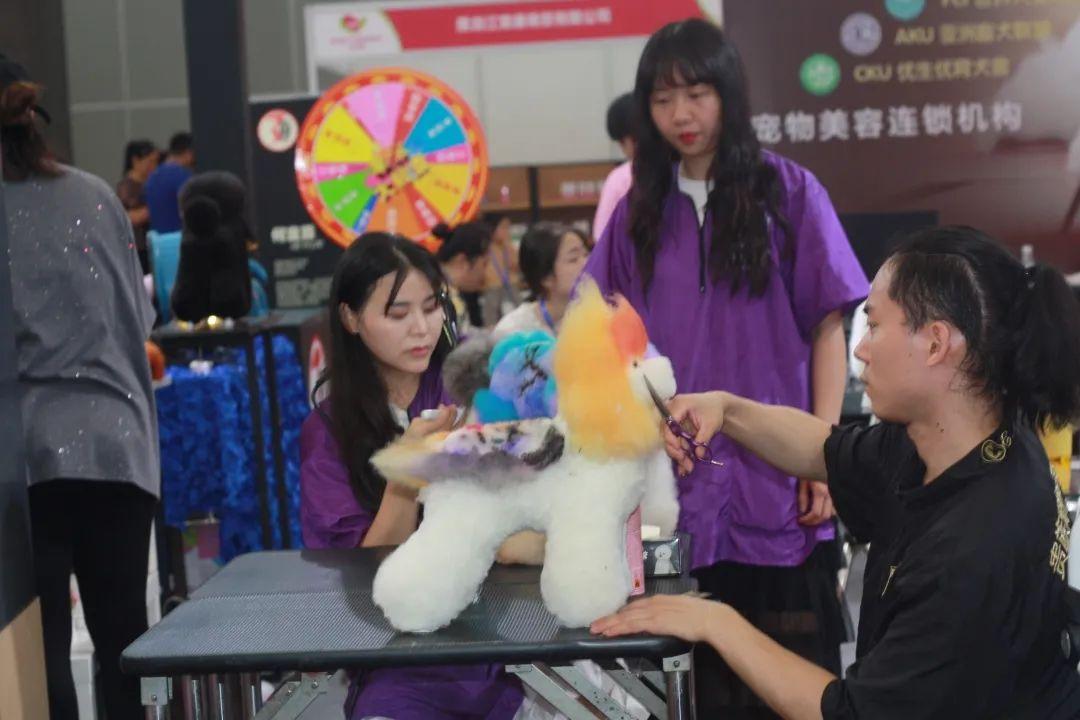 仙游口袋萌宠乐园官网招聘