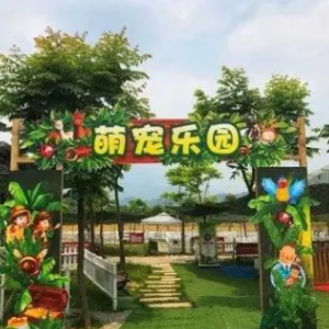 抖音月付怎么快速提现 抖音月付快速提现攻略，轻松变现，让你钱袋子鼓起来！