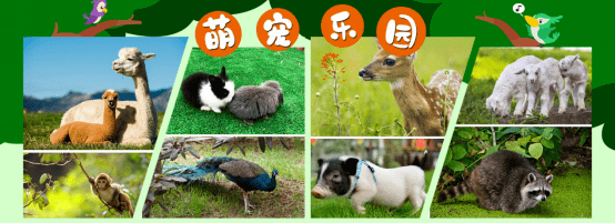 小驴花呗使用指南，如何有效套出信用额度？