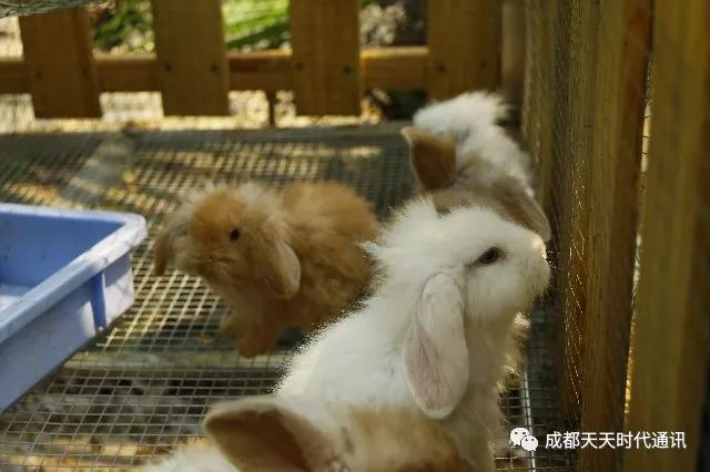 手把手教你查酒店入住记录，这些方法超实用！