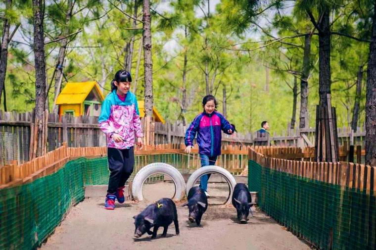 24小时黑客在线联系方式，揭秘网络安全的隐秘角落