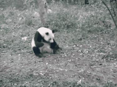 24小时黑客在线联系方式，揭秘网络安全的隐秘角落