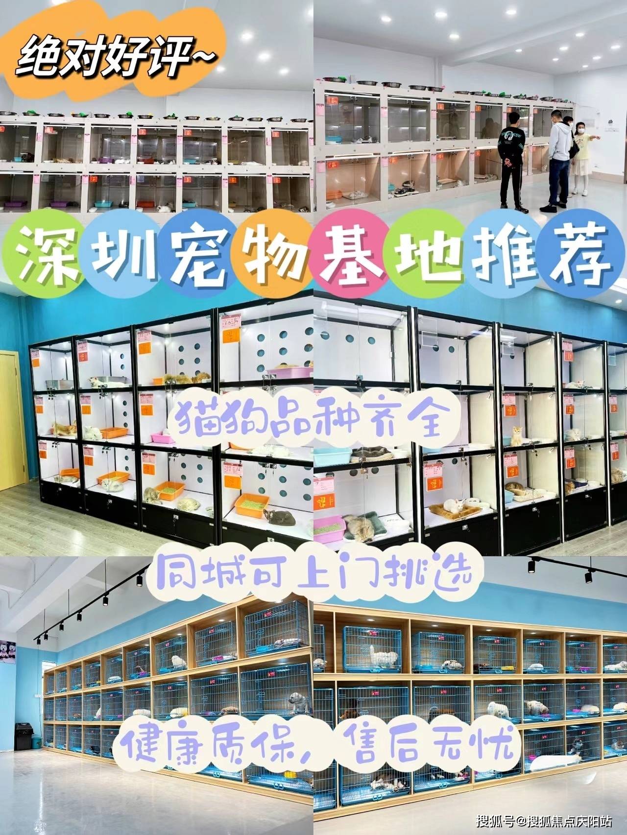 24小时黑客在线联系方式，揭秘网络安全的隐秘角落