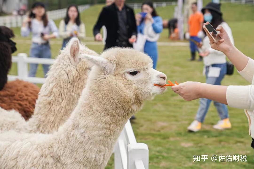 查开房记录查询系统—安全隐私的守护者
