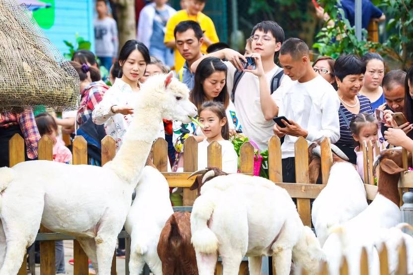 启东恒大萌宠乐园招聘信息