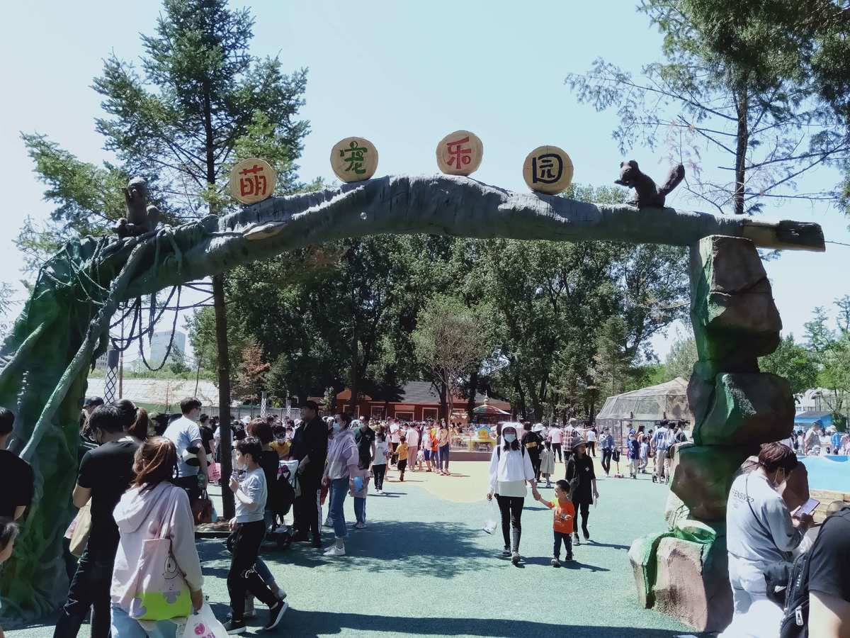 鞍山萌宠乐园—宠物狗买卖的天堂