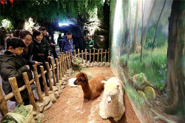 印象萌宠主题乐园—探索欢乐与萌态并存的奇妙世界