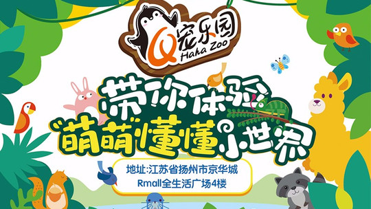 板桥桃花萌宠乐园揭秘