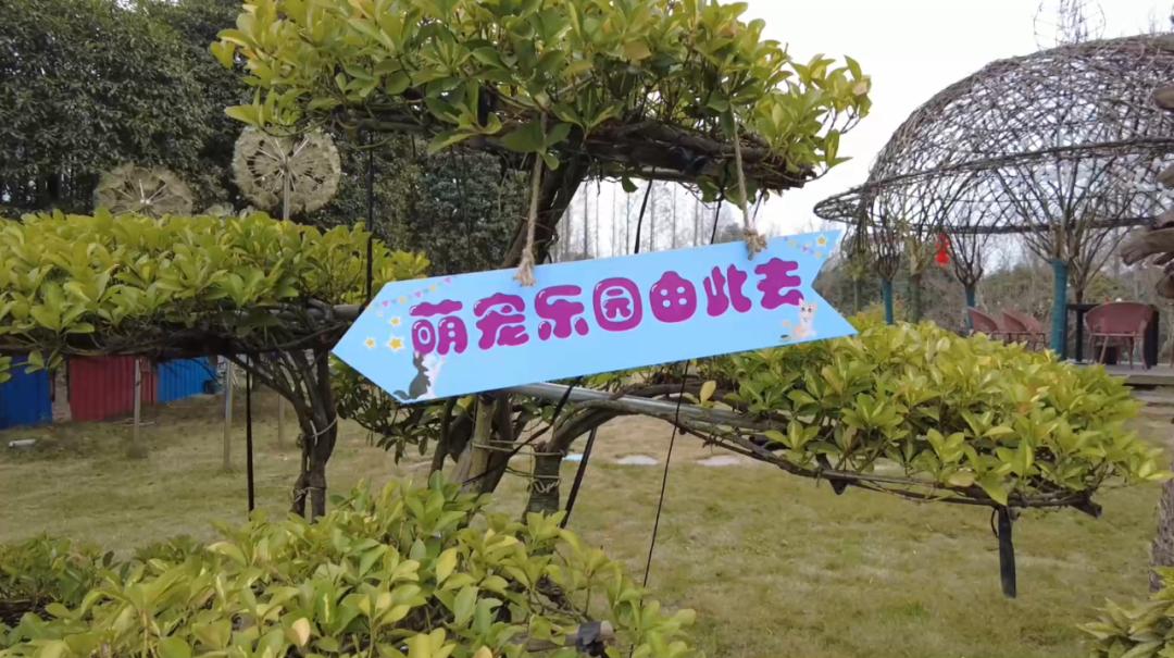 商洛萌宠乐园设计策划报告