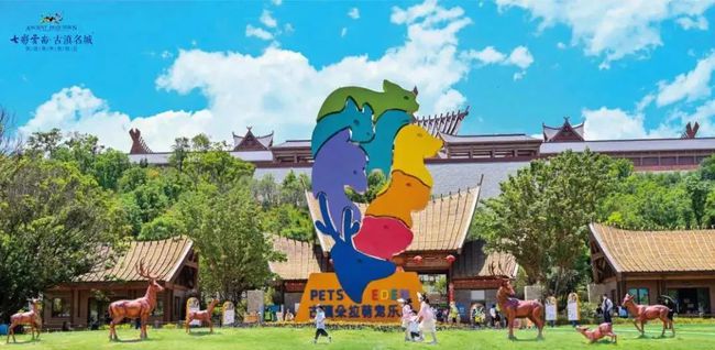 关于如何偷偷查看他人QQ聊天记录的探讨（风险警示及案例分析）