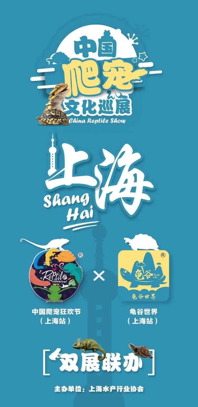 揭秘白条取现套现套路，普通人如何避免血本无归？