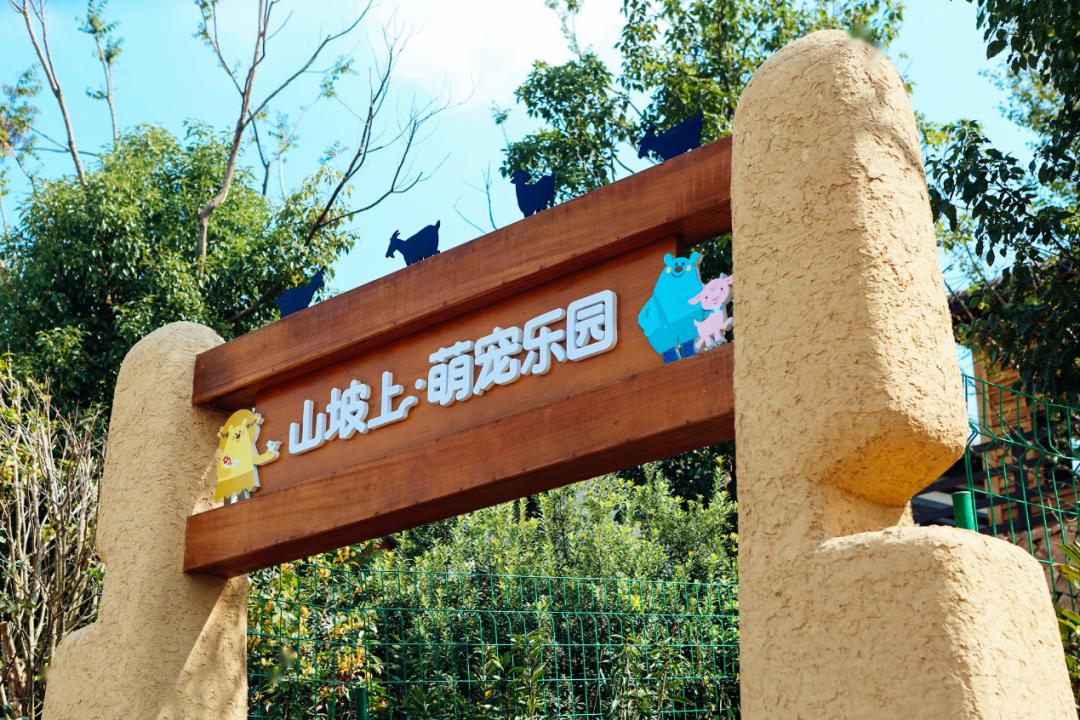 萌宠们的乐园免费阅读体验报告