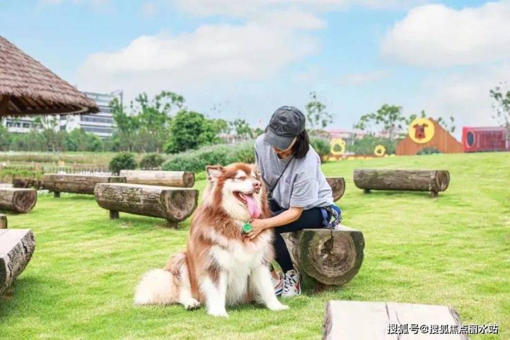 京东白条提现和分期全攻略，手把手教你灵活使用消费信贷