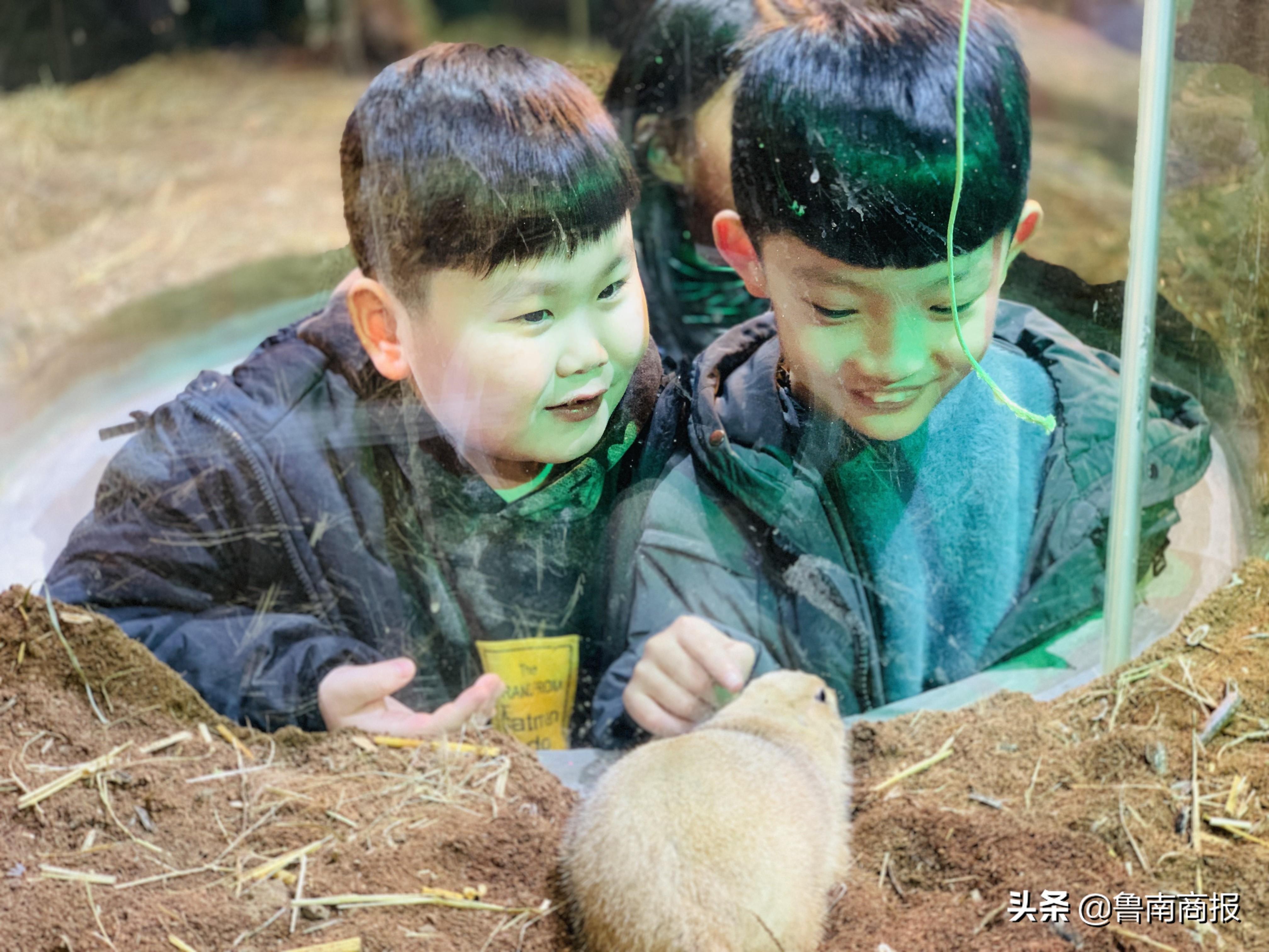 京东白条取现最多是多少 揭秘京东白条取现大揭秘，最高额度是多少？如何操作？