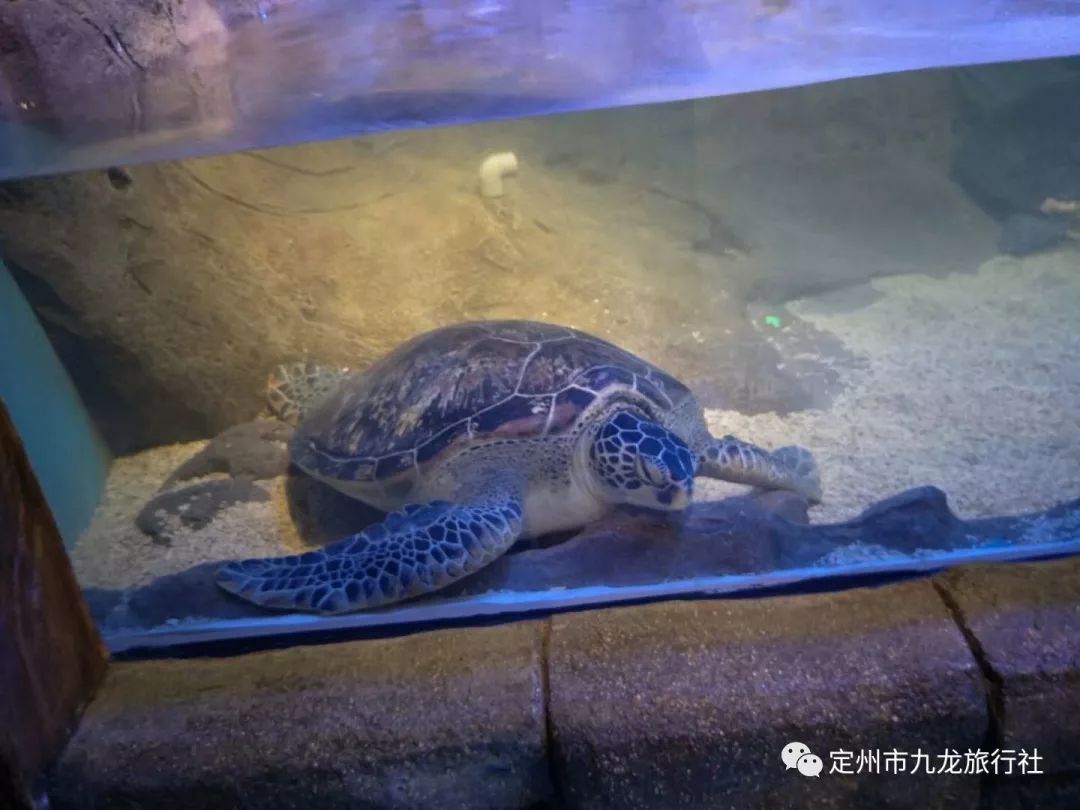 掌握微信聊天记录的秘籍—怎样查别人微信聊天记录