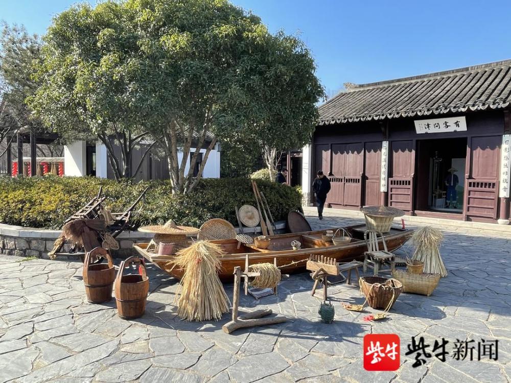 丽江萌宠乐园效果图—与自然和谐共生的宠物天堂