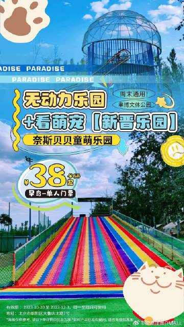 黑猫萌宠乐园拍照模式图文攻略