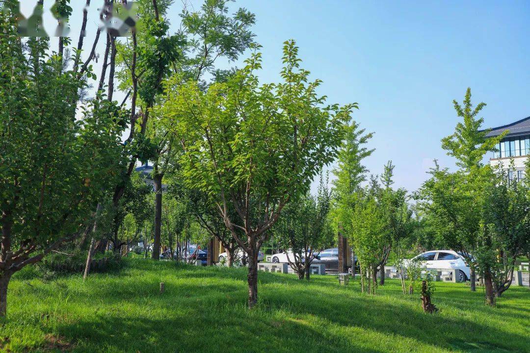揭秘羊小咩便荔卡套现套路，安全与风险并存，看完这篇再决定！