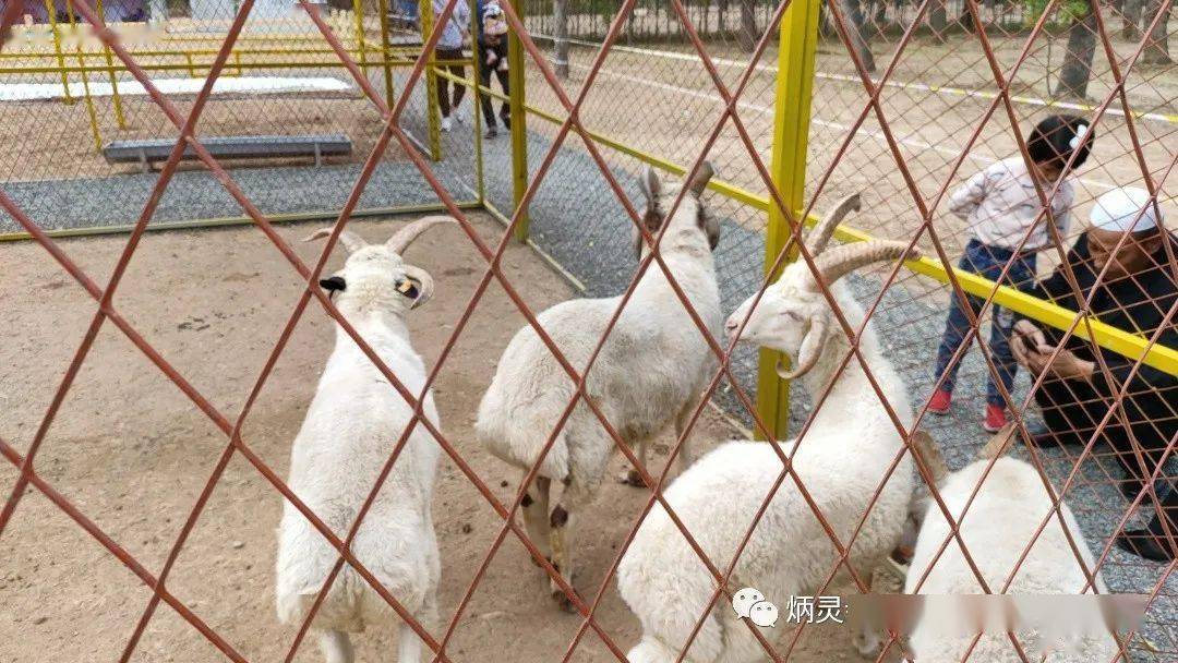 手把手教你查看女朋友手机记录的实用指南（附避雷提醒）
