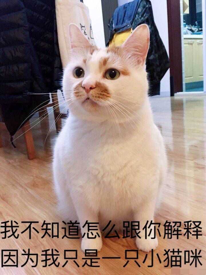微信聊天记录去哪儿查？手把手教你找回珍贵回忆