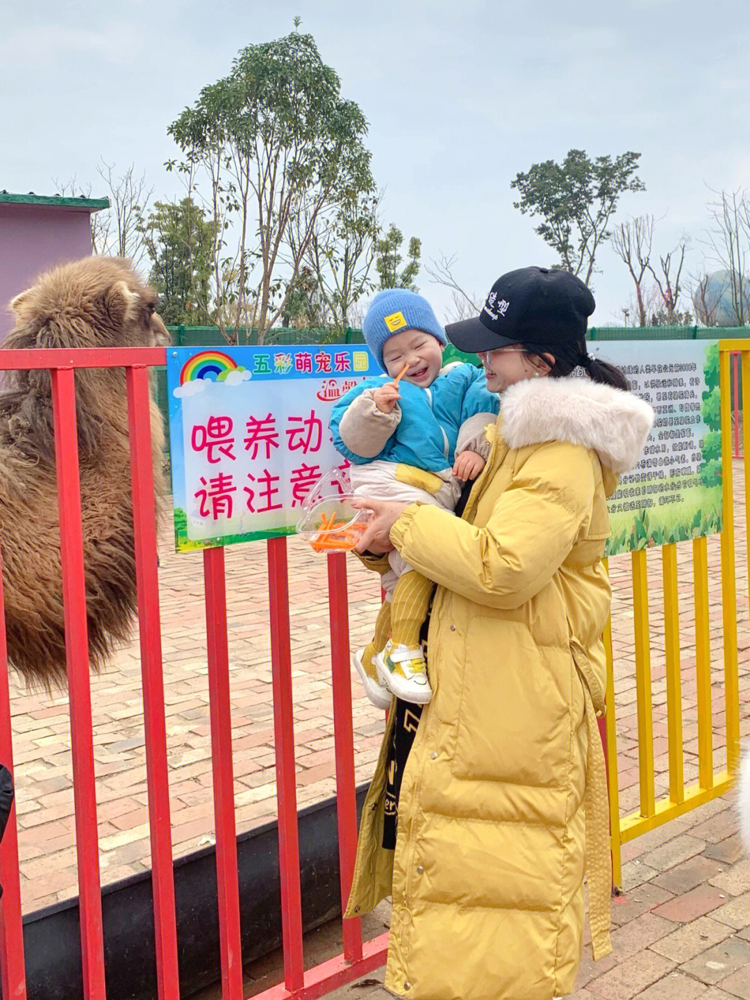 抖音月付怎么获取提现额度 抖音月付用户必看！轻松解锁提现额度，让你轻松拿钱到手软！
