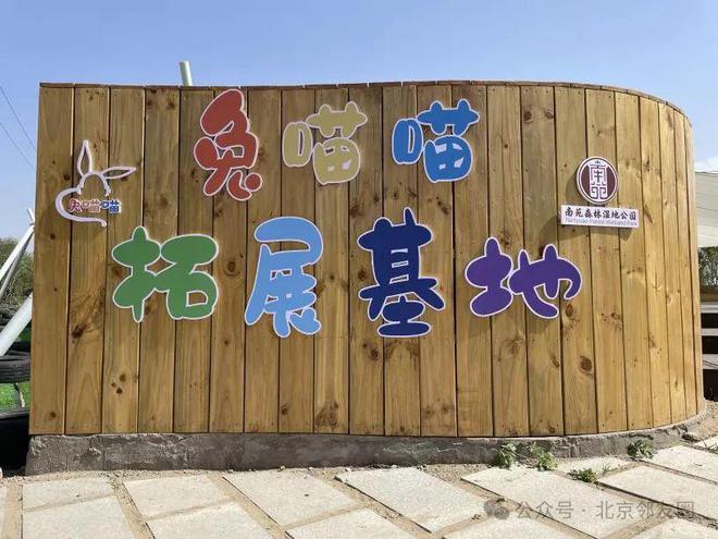 身份证查开房记录，真相与误区全解析