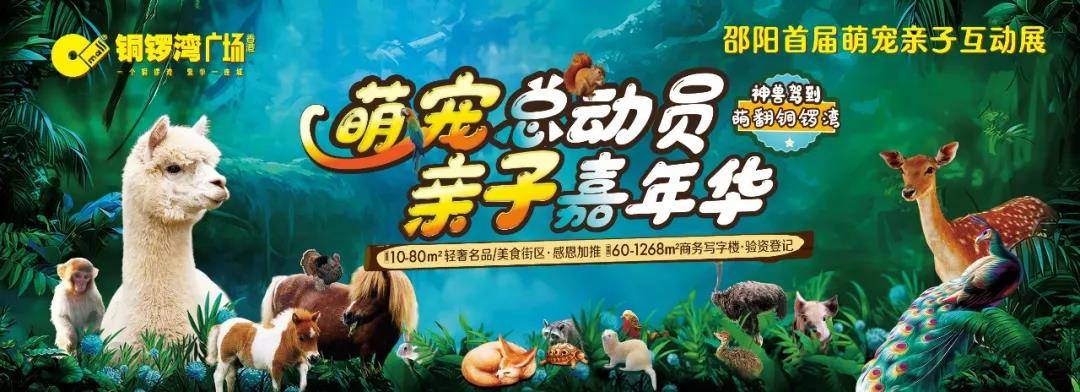邹平羊小咩享花卡套出来多少利息 邹平羊小咩享花卡套现，揭秘背后的利息收益！
